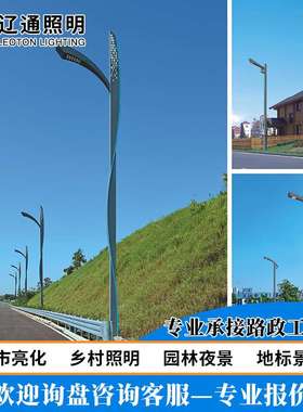 6-10米LED市电路灯城市户外防水市政道路照明高杆灯单双臂路灯