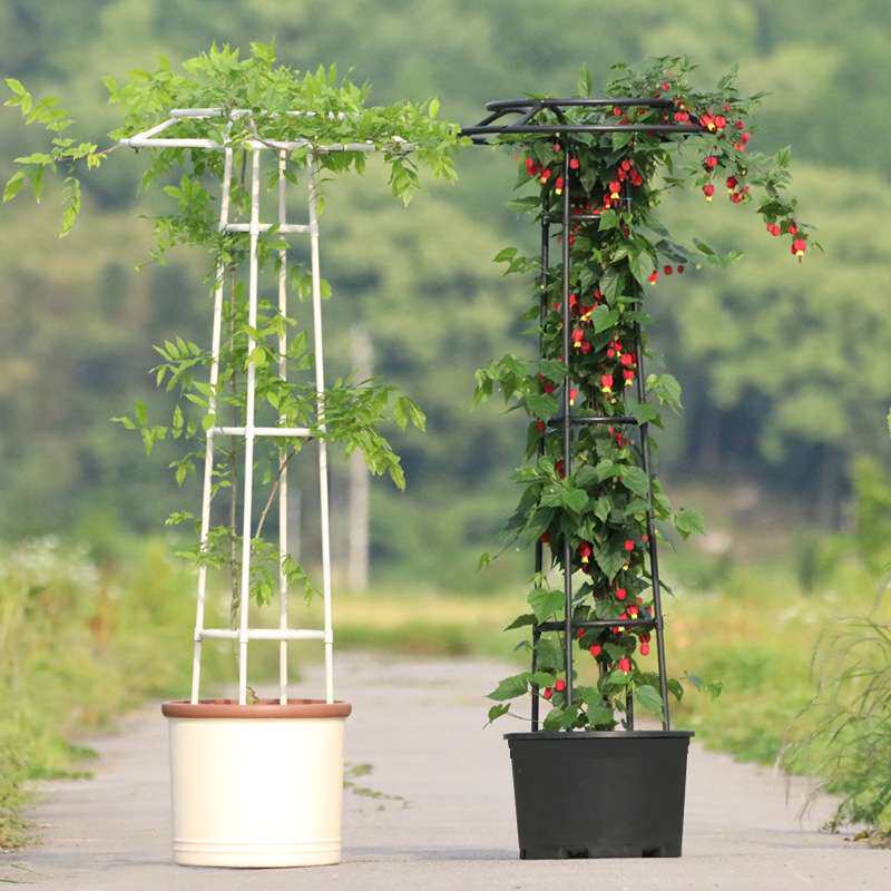 新款伞型花架爬藤架户外花卉攀爬架花支架月季铁线莲14mm管径塑料