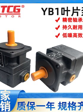 YB1-10/6/4/2.5/6.3/16/25/40/50/63/80/100叶片油泵 定量叶片泵