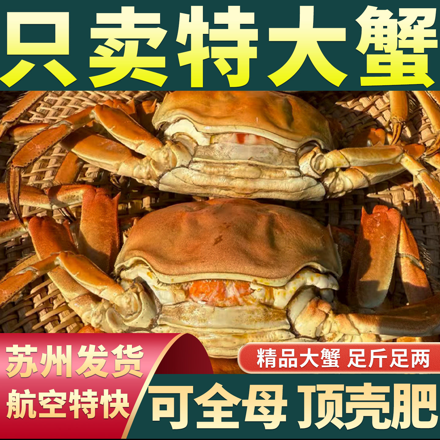 【特大蟹】10只现货大闸蟹鲜活螃蟹全母礼盒阳澄后荡湖官方旗河蟹,水产肉类/新鲜蔬果/熟食,大闸蟹,淘宝优惠券,粉丝福利购,淘宝优惠卷