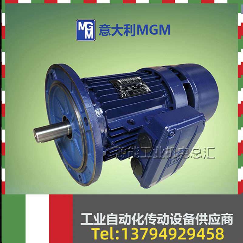 现货供应MGM三相异步刹车电机 风电专用400/690V偏航电机