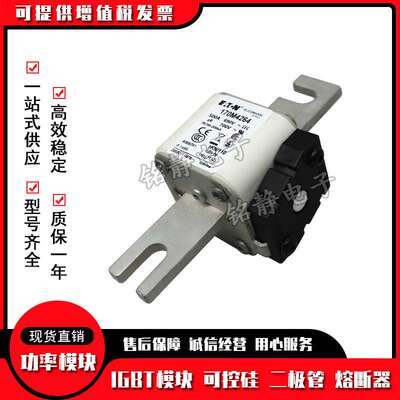 170M4208 170M4209 170M4210 170M4211 170M4212熔断器170M4213