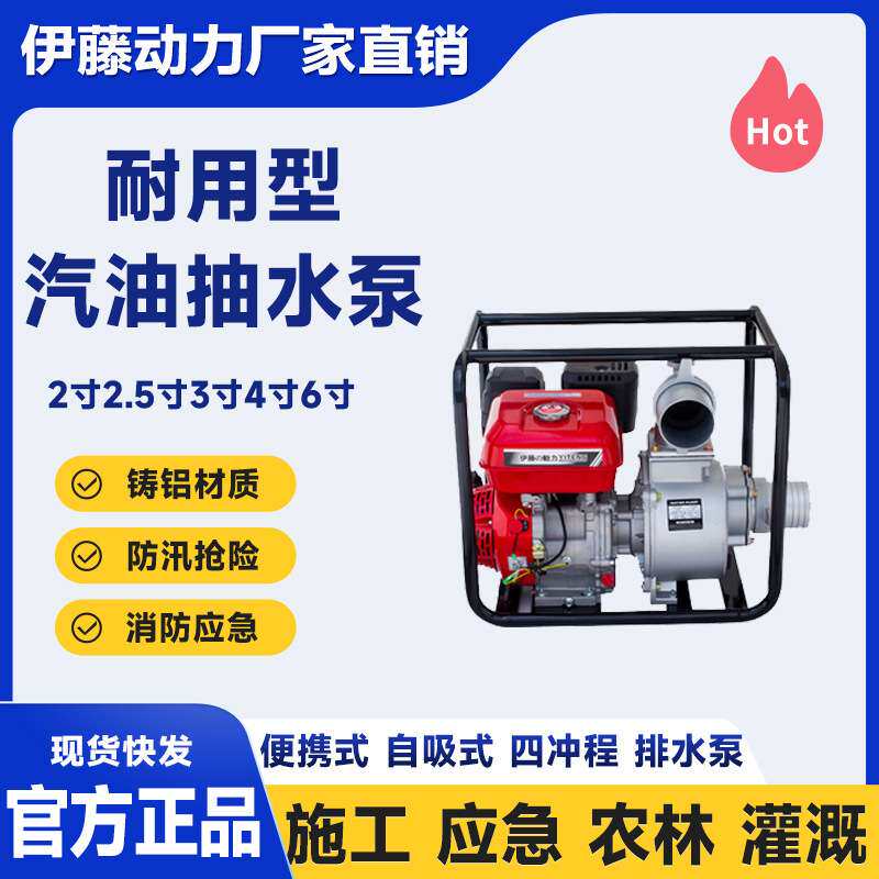 户外应急小型便携式汽油抽水泵防汛自吸泵2寸3寸4寸YT40WP伊
