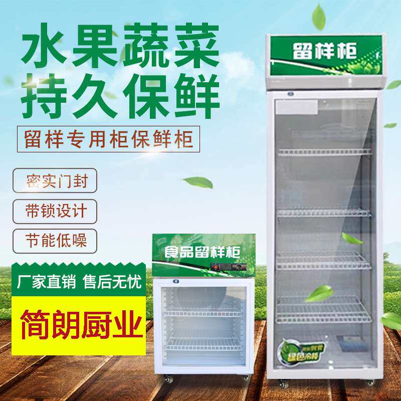 幼儿园食品留样柜饮料冷柜小冰箱小型单门商用冷藏保鲜展示柜单锁