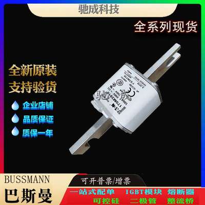 巴斯曼170M3924 170M3925 170M3926 大量现货 零售 原装熔断器