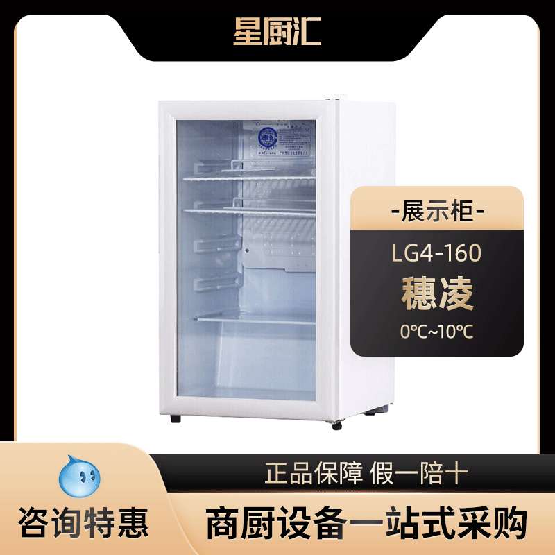 穗凌LG4-160立式商用展示柜陈列小冰柜单温保鲜柜小型冷藏饮料柜