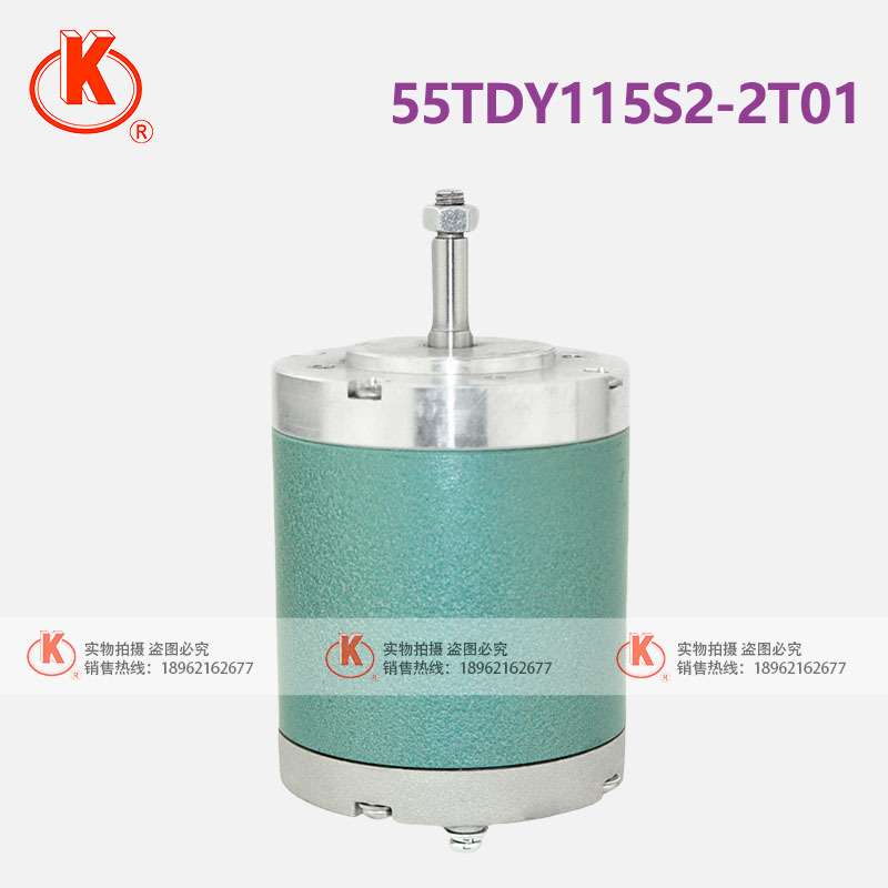 苏州斯奥克微电机制造 55TDY115S2-2T01 永磁低速同步电机 铜机芯