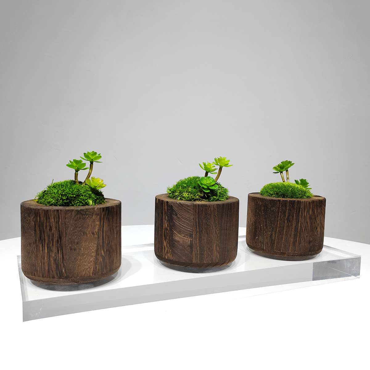 新中式实木花器永生苔藓绿植小盆景室内客厅床头柜洽谈桌软装饰品