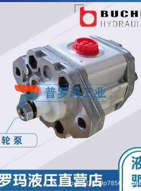 德国布赫BUCHER液压泵齿轮油泵AP05/1.2 D 819  AP0.5/1.6 D  819