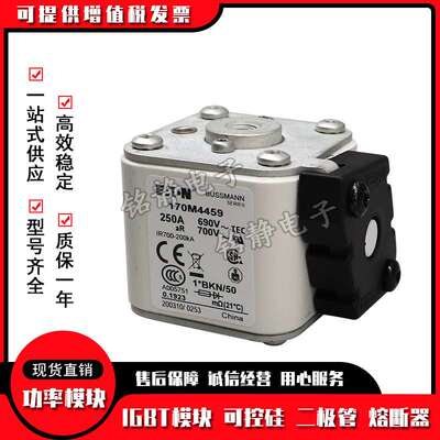 170M4514 170M4515 170M4516 170M4517 170M4518熔断器170M4519