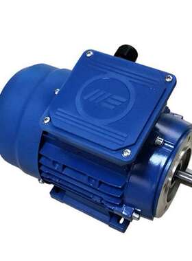 意大利MarelliMotori电机MOT.3~MAQ100L4