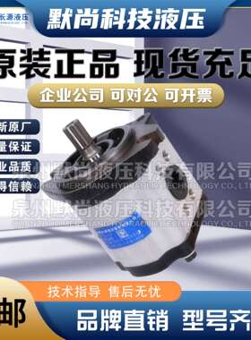 HCHC合肥长源液压齿轮油泵CBT-F410A CBT-412.5A全系列高压齿轮泵