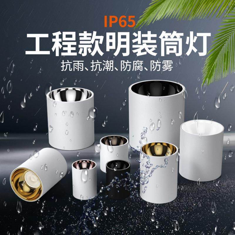 户外室外店铺门头阳台露台酒店雨棚吸顶防雾射灯led明装防水筒灯