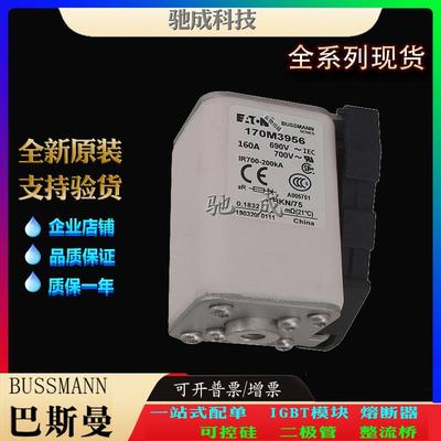 巴斯曼170M3955 170M3956 170M3957 厂家直供价优 方体熔断器