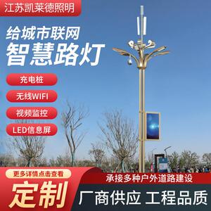 城市道路照明灯LED智慧路灯监控照明一体化路灯市政广场户外灯