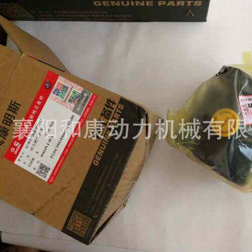 东风天龙天锦康明斯动力转向泵4930793 4993939 全国联保