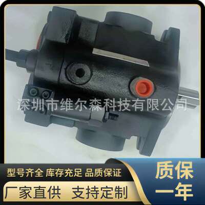 DENISON轴向柱塞泵 PVT10-1L5D，PVT10-2L1D 丹尼逊液压油泵