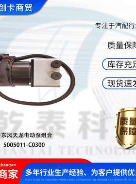 卡车配件跨境适用东风天龙电动泵组合 5005011-C0300