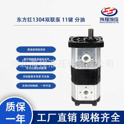 东方红1304双联泵 11键 分油 CBTt-F320/310 E571001