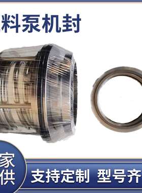 B173-90机械密封ZJWSYA压滤机入料泵配件洗煤洗沙耐磨高压密封件