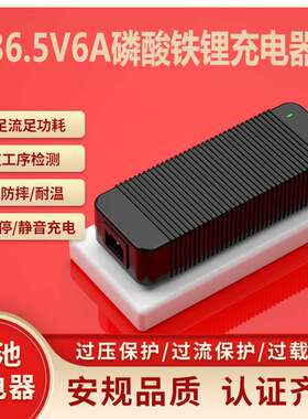 36.5V6A铁锂充电器SAA  PSE CE KC UL认证割草机户外防水充电器
