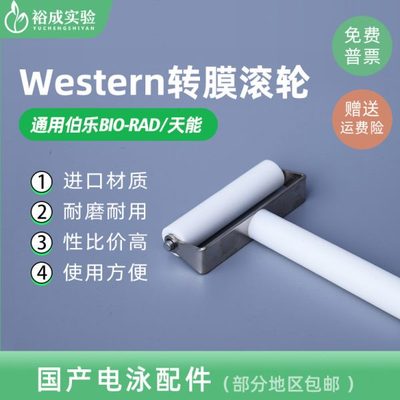 Western Blot转膜滚筒 Western转膜气泡滚WB滚子Western Roller