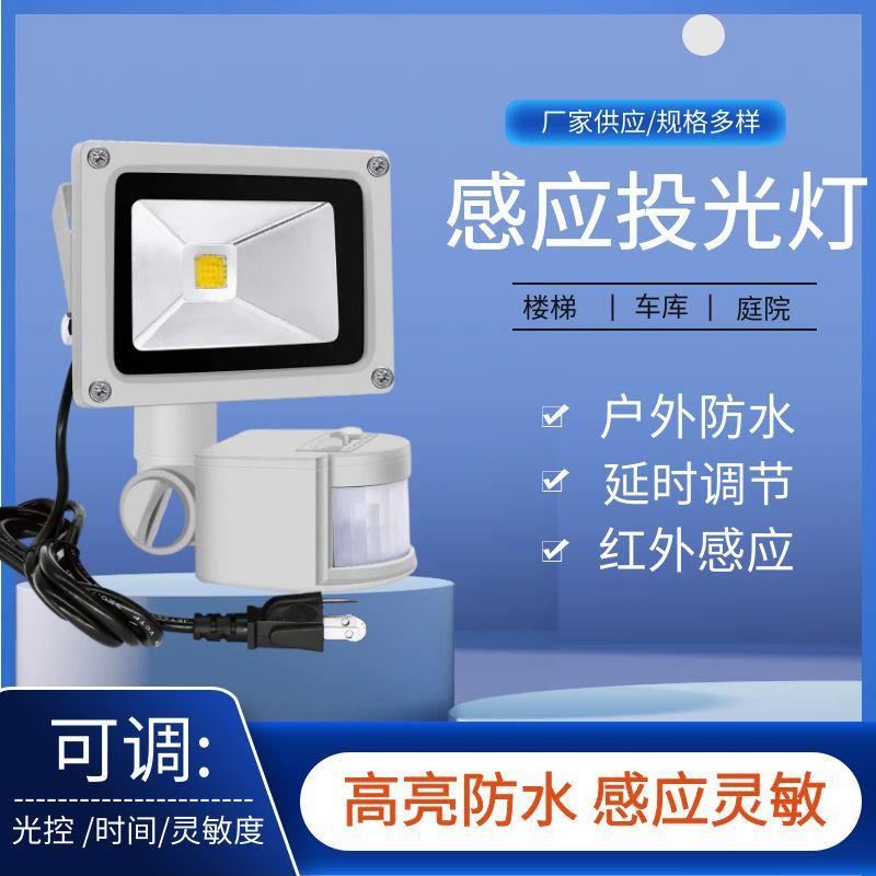 厂家直销10W楼道人体感应LED投光灯广告灯路灯车库灯景观灯