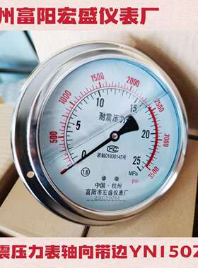 轴向带边耐震压力表，YN150ZT，全规格，可定