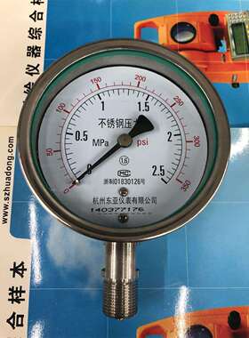 不锈钢压力表YBF100 0.6 1 1.6 2.5 4 6 10 16 25 40MPA杭州东亚