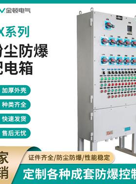 粉尘防爆配电箱IIIC防爆箱铸铝304不锈钢粮仓洗煤厂用防爆控制柜