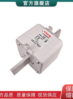 170M6867 6868 6869 6870 6891 8645 8646 8650 巴斯曼快速熔断器