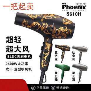 火之凤5610H无刷电吹风机理发店专用发型师大功率发廊大风力风筒