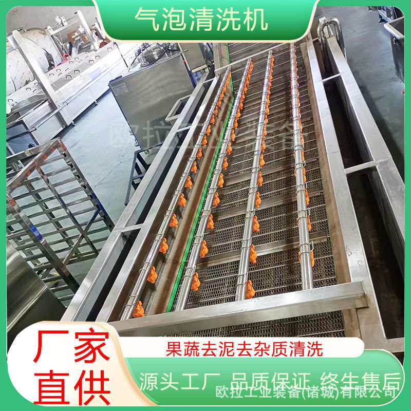 豆角辣椒根茎类蔬菜清洗机器 自动洗菜机 生姜荷藕去泥气泡清洗机