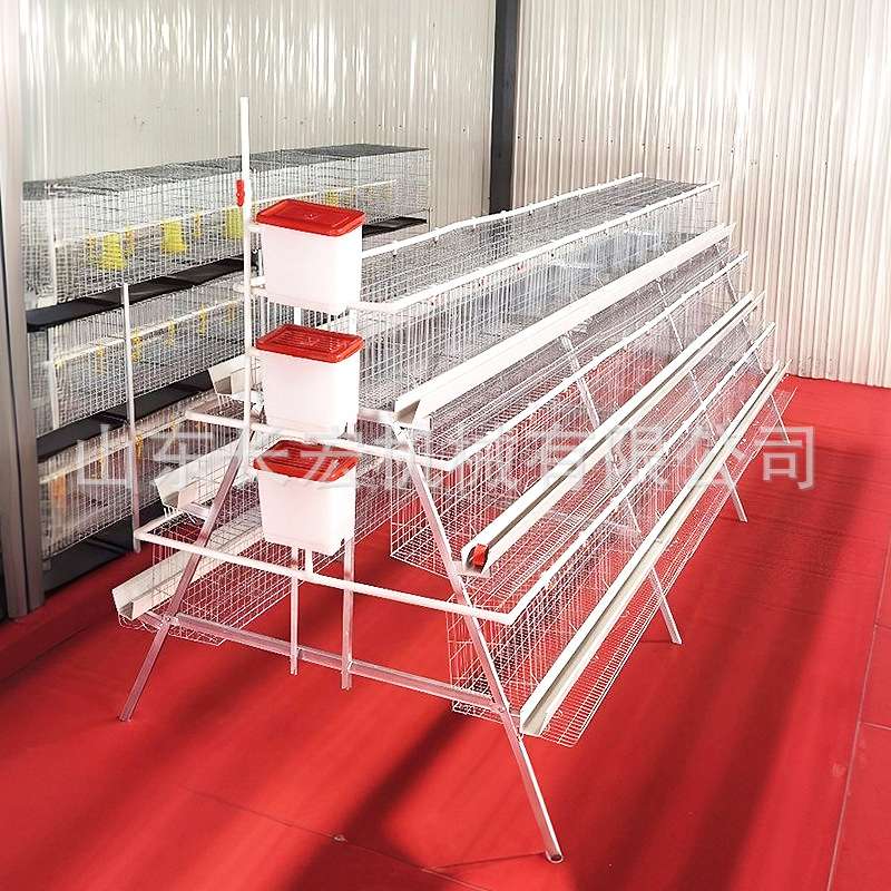 层叠式肉鸡H型笼鹌鹑笼加粗养殖笼具养殖场肉鸡A型笼蛋鸡笼鸽子笼
