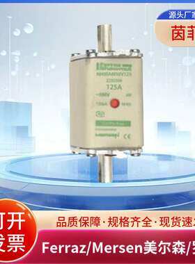 美尔森/罗兰熔断器NH4AM50V630-8 NH4AM50V800-8 NH4AM50V1000-8