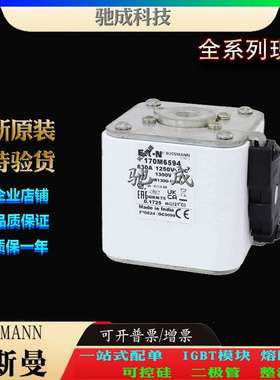 巴斯曼170M6595 170M6596 170M6597 大量现货厂价销售 快熔保险丝