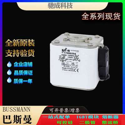 巴斯曼170M6595 170M6596 170M6597 大量现货厂价销售 快熔保险丝