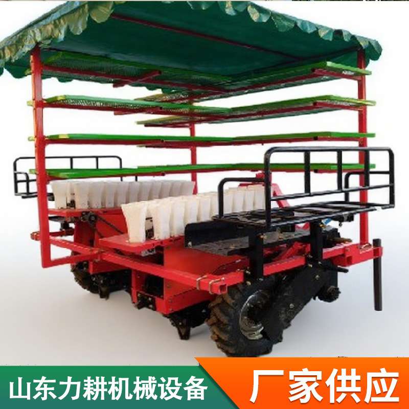 新型全自动秧苗移栽机蔬菜大棚苗种植机乘坐式瓜果栽苗移植器