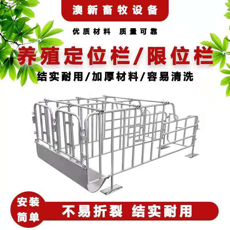 供应猪用定位栏限位栏 猪场养猪带食槽养猪设备猪定位栏厂家
