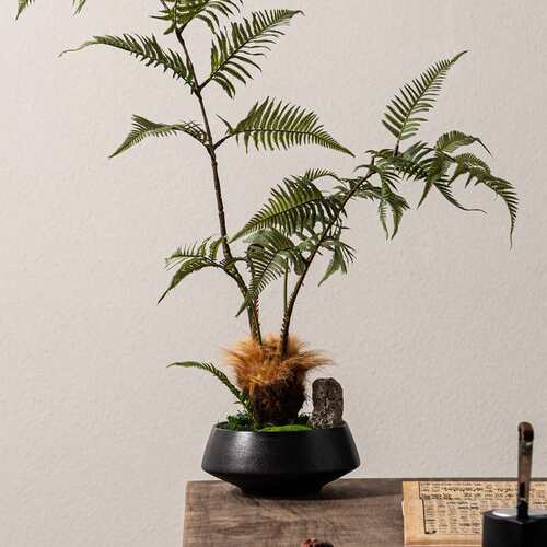 左顾  新中式造景仿真金丝猴蕨金毛蕨树绿植民宿茶室桌样板间摆件