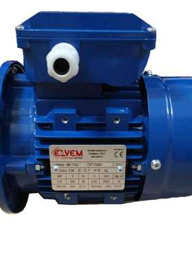意大利Elvem电机Elvem铝壳电机，马达,刹车电机马达