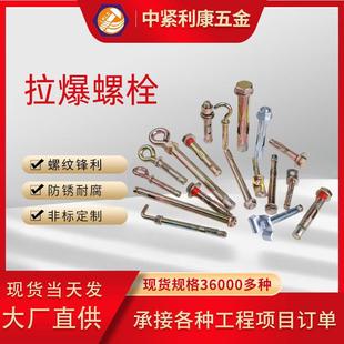 镀锌膨胀钩国标加厚膨胀螺栓 国标m6m12镀锌拉爆六角膨胀螺栓