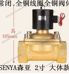 -157212v寸24v v50 体220DN50-长 502w电磁阀 全铜 水阀  0m大体