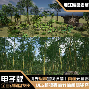 UE5自然环境竹林岩石草地竹类树木灌木竹子草园林景观资产素材