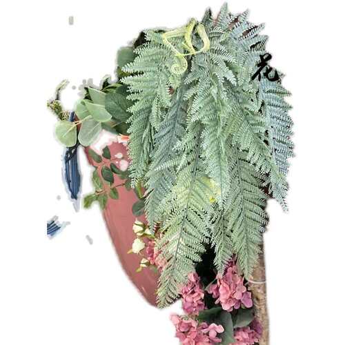 蕨类植物地被波斯草羊齿蕨波斯顿草单只/束蕨田园芒黑骨仿真植物