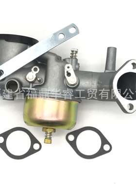 草坪机化油器 252702 491026 252707 253702  393410化油器配件
