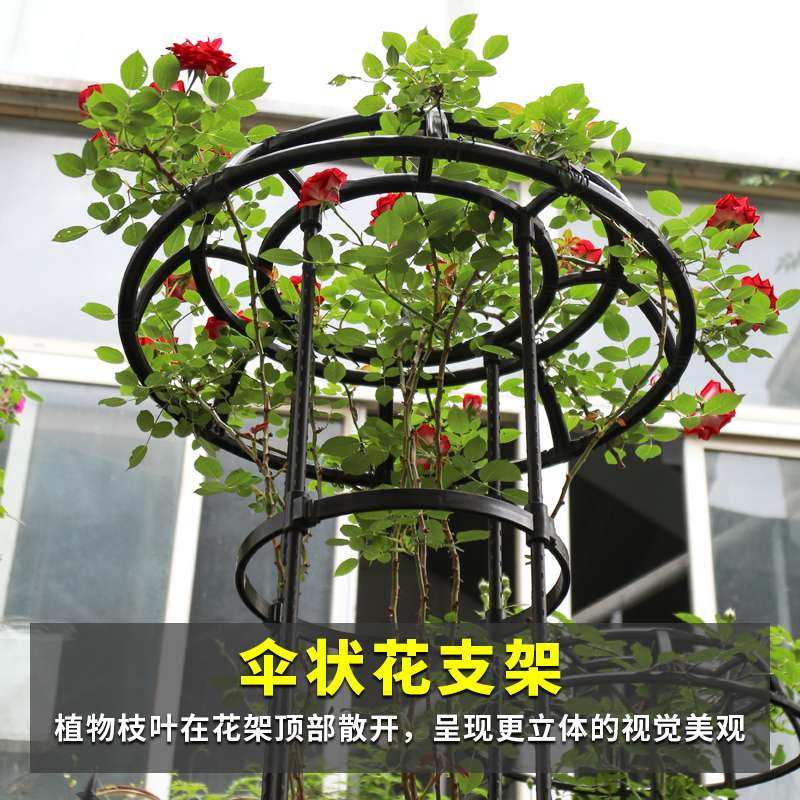 伞型植物爬藤架园艺藤本类月季绿萝爬藤花支架支柱玫瑰盆栽支撑杆,玩具/童车/益智/积木/模型,遥控车升级件/零配件,淘宝优惠券,粉丝福利购,淘宝优惠卷