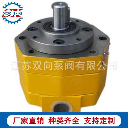 摆线内啮合齿轮泵BB-B6X BB-B10X BB-B10AF-B BB-B25YF转子式油泵