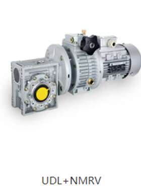 无极变速+NMRV减速电机Y3-0.75KW/UDL010B5/NMRV050-20