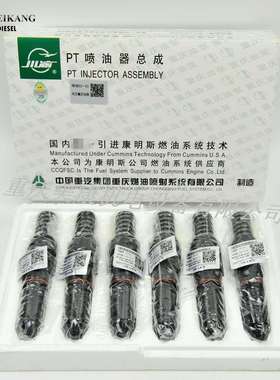 PT喷油器  3053126  原厂品质   零售  PT喷油器